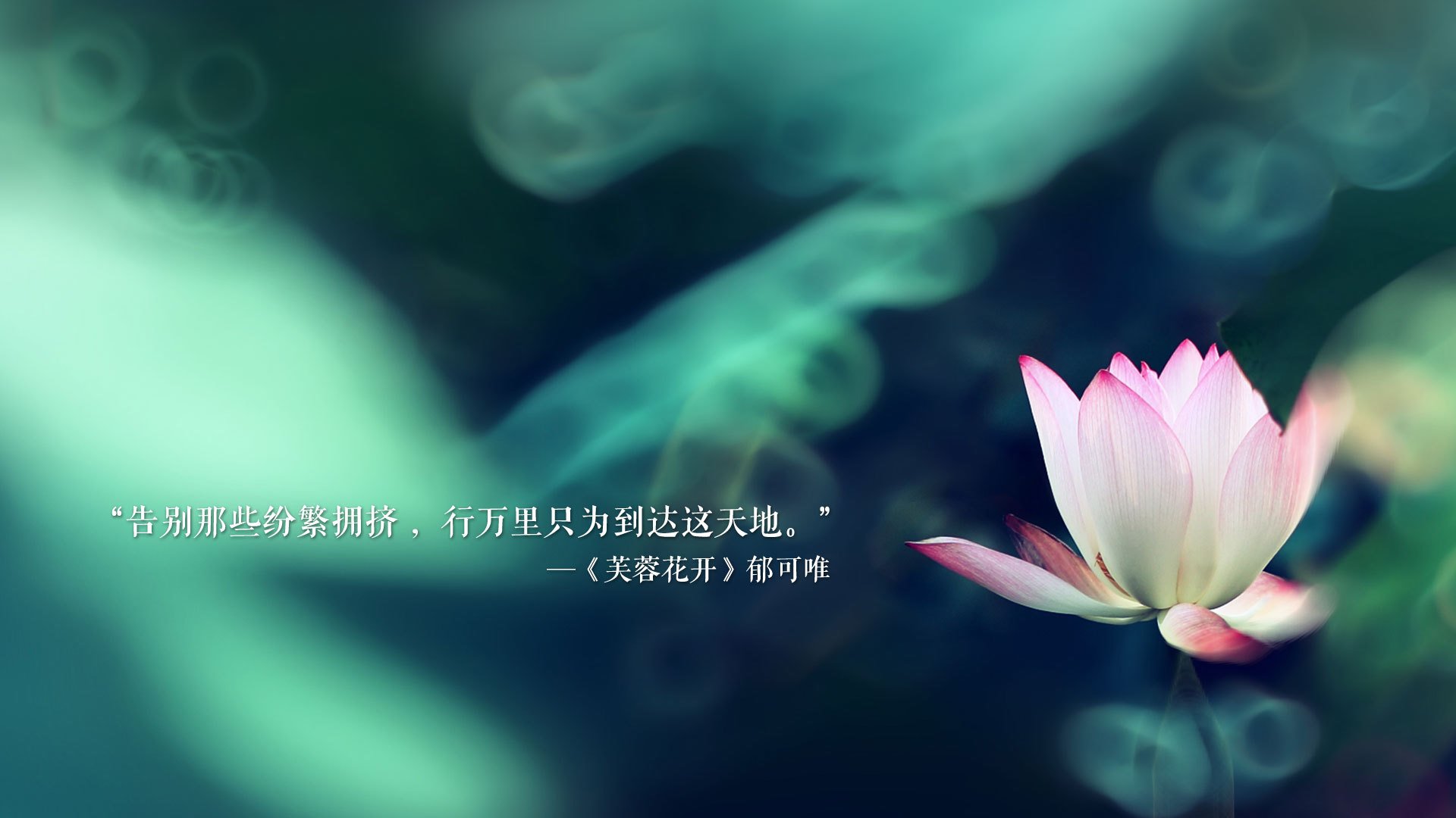 开云官网-哈登带领快船大胜国王，快船想把哈登交易过来