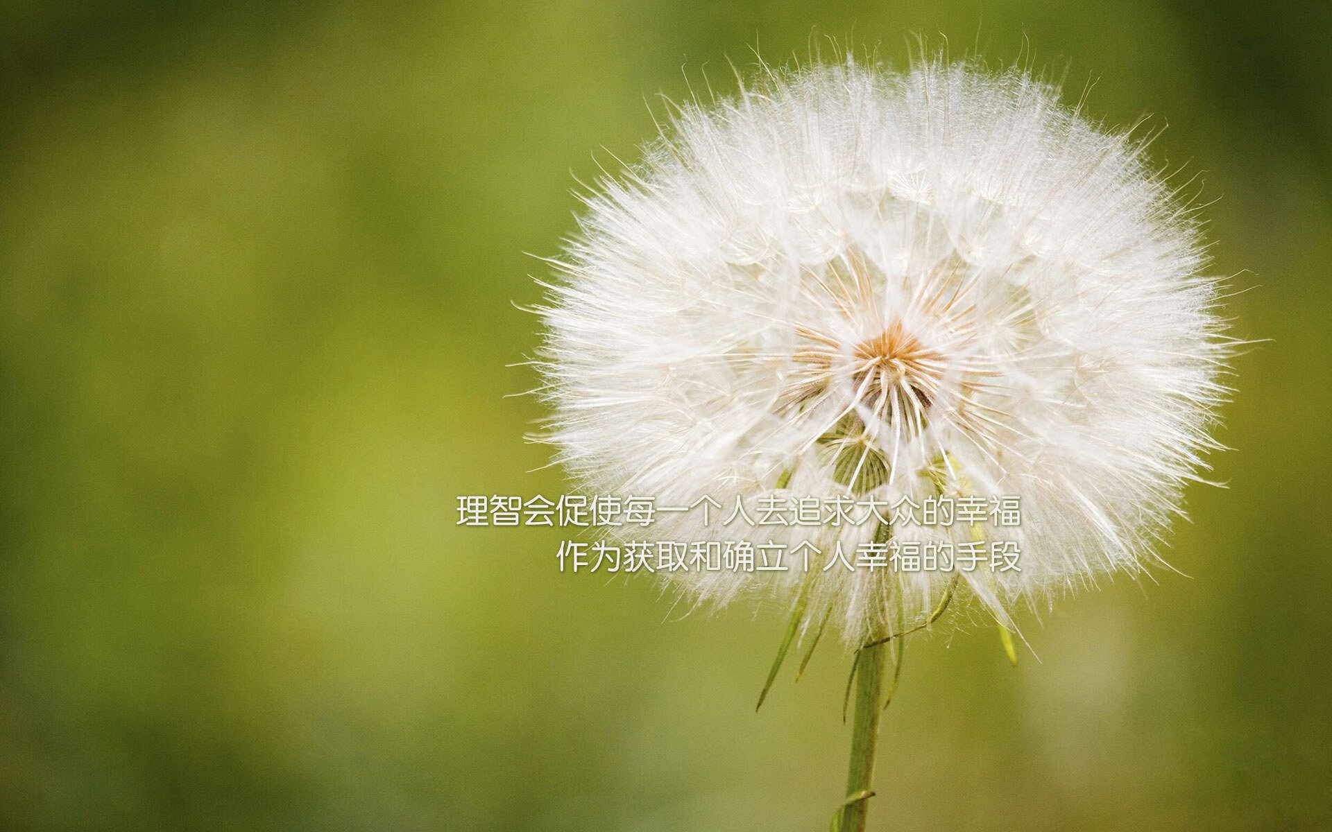 万名志愿者集结，智能服务系统上线，万人志愿服务活动