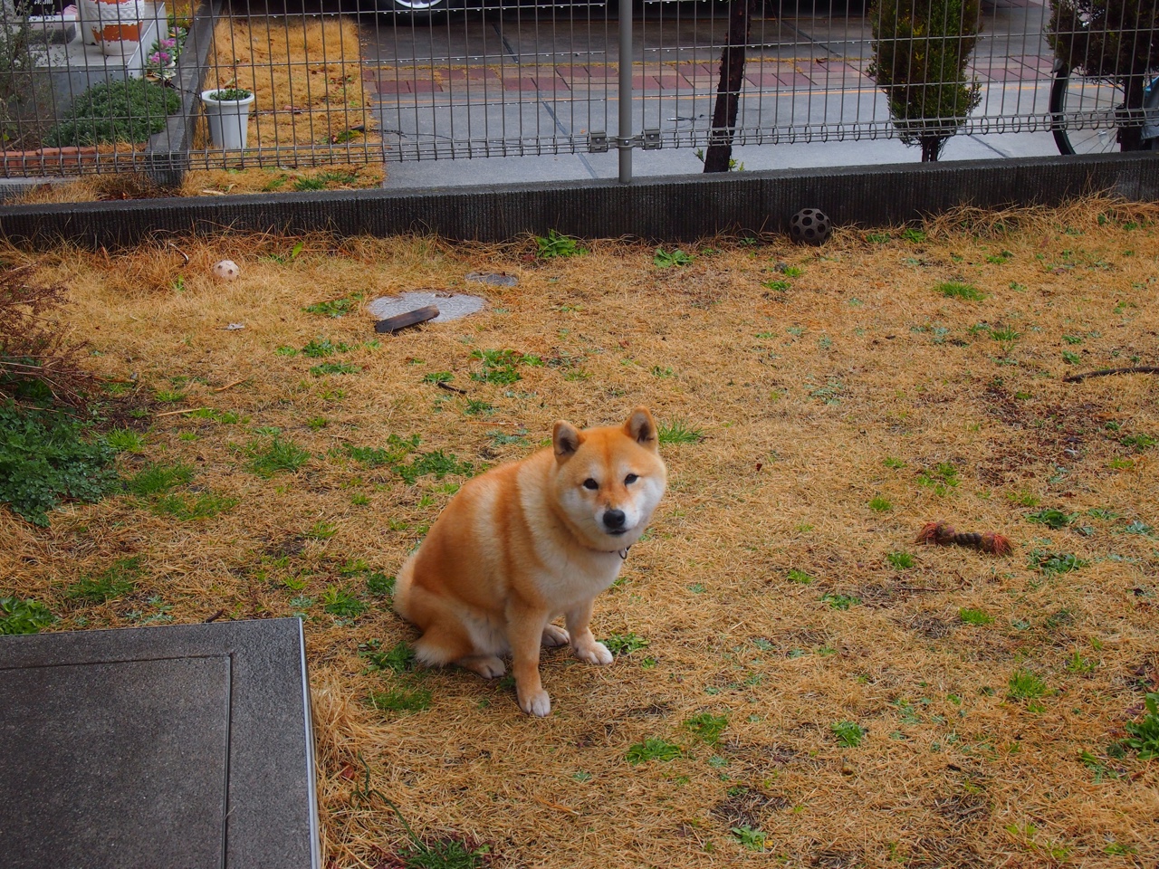 开云·体育全站登录地址-特色足球旅游线路成为热点，带动旅游经济新增长点，足球旅途