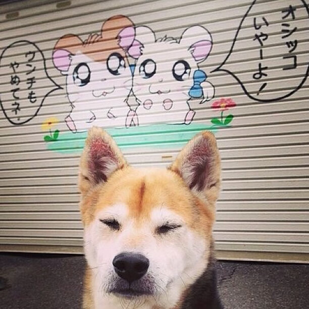 开云体育APP下载-篮球分析平台上线支持数据可视化提升战术研究效率，篮球分析软件排行榜