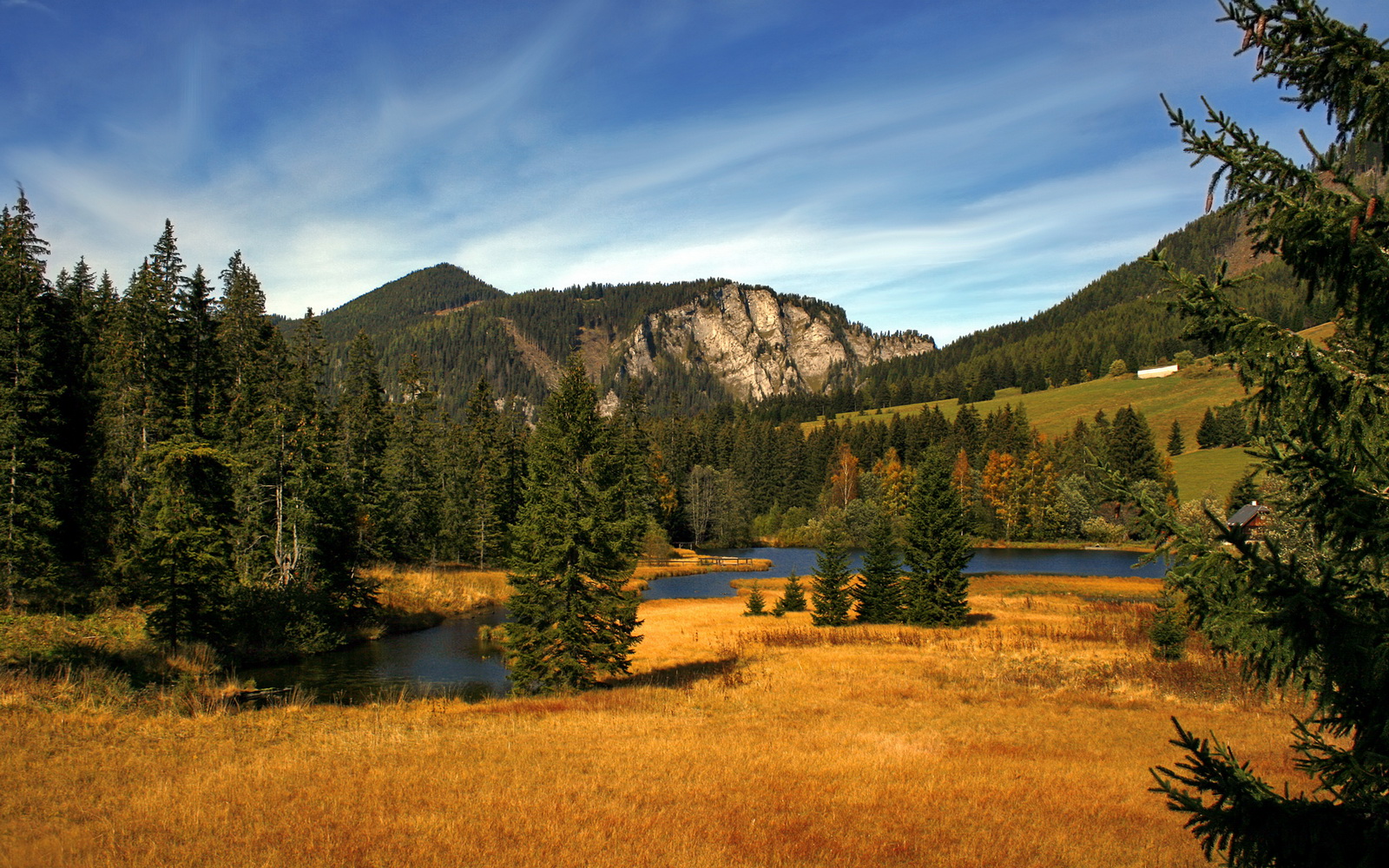 篮网加练结束后组织队内趣味游戏,篮网训练营什么时候开始