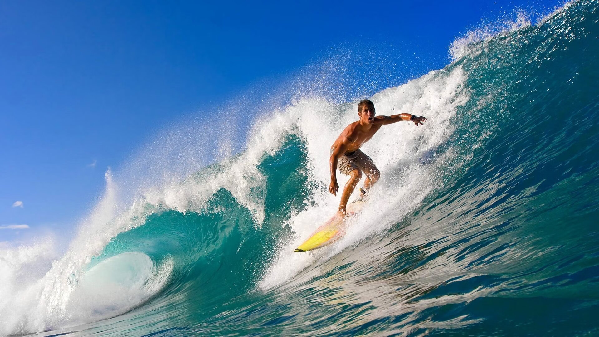 全国跆拳道锦标赛，武道精神激励青年，全国跆拳道锦标赛冠军